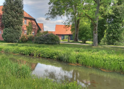 Umgebung des Jeddinger Hofes in der Lünebuger Heide